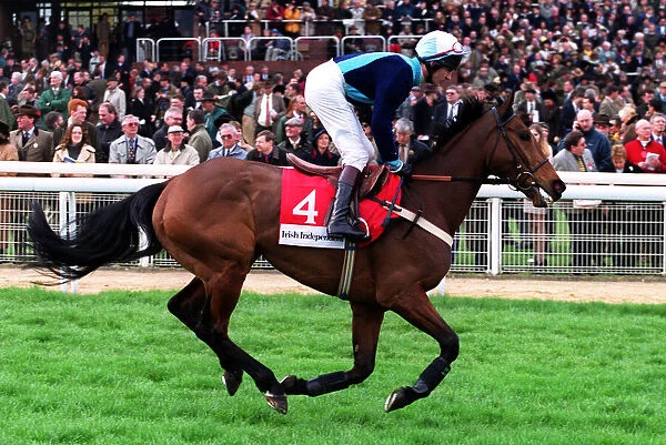Decoupage Ridden By Norman Williamson 14 March 2000 Date: 14 March 2000