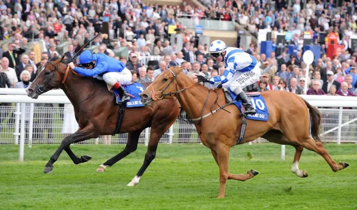 Framed Print : Delegator Wins Ahead Of Regal Parade Ridden By Frankie Detto Framed Print : Delegator Wins Ahead Of Regal Parade Ridden By Frankie Detto