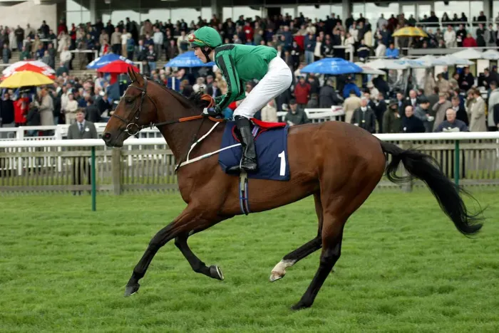 Framed Print : Dellsarte Ridden By K.Dalgleish The Sagitta Guineas Festival 2 Newmarket Racecourse Framed Print : Dellsarte Ridden By K.Dalgleish The Sagitta Guineas Festival 2 Newmarket Racecourse