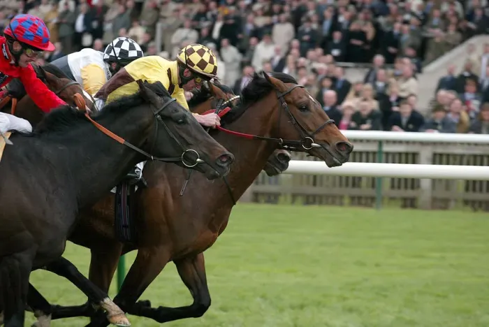 Framed Print : Democratic Deficit & Wins Craven Stks