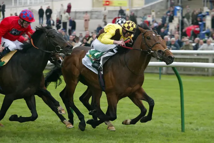 Framed Print : Democratic Deficit & Wins Craven Stks Framed Print : Democratic Deficit & Wins Craven Stks