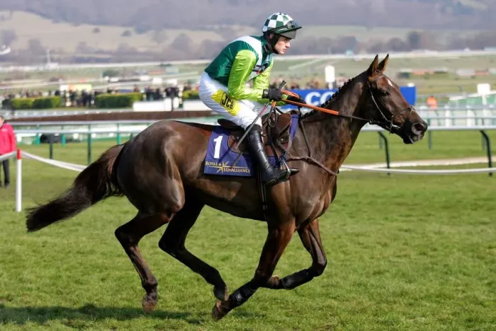 Framed Print : Denman Ridden By R. Walsh Cheltenham Festival 2006 Cheltenham Racecourse