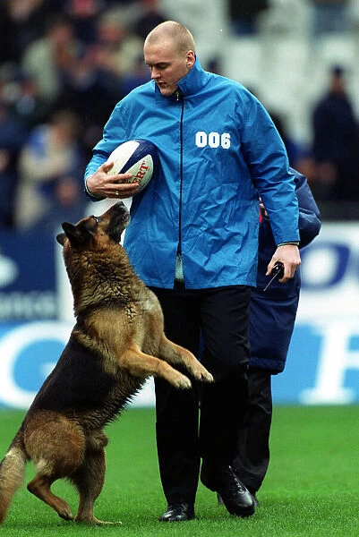 Dog On Pitch At Stade France