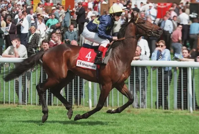 Framed Print : Dombey Racehorse 17 May 1996 Date: 17 May 1996 Framed Print : Dombey Racehorse 17 May 1996 Date: 17 May 1996