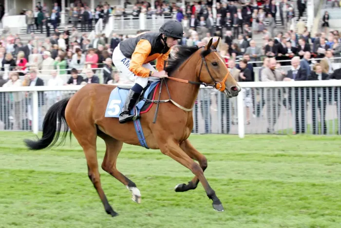 Framed Print : Doughnut Ridden By Ryan Moore York May Festival 2008 York Racecourse Framed Print : Doughnut Ridden By Ryan Moore York May Festival 2008 York Racecourse