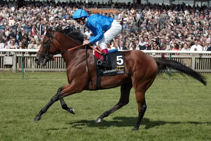 Framed Print : Dubawi Ridden By L.Dettori Guineas Festival Nemarket 2005 Newmarket Framed Print : Dubawi Ridden By L.Dettori Guineas Festival Nemarket 2005 Newmarket
