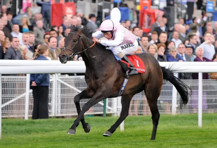 Framed Print : Duncan Ridden By William Buick Framed Print : Duncan Ridden By William Buick