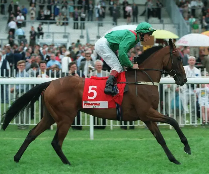 Framed Print : Ebadiyla Ridden By J.Murtagh 30 July 1997 Date: 30 July 1997