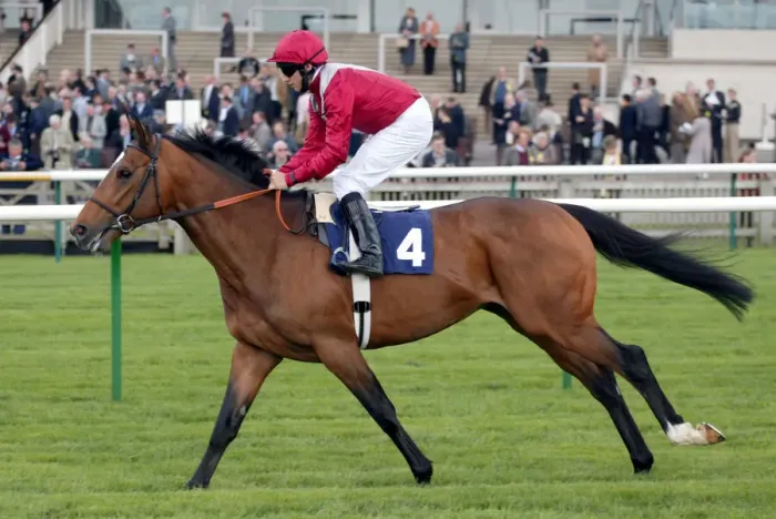 Framed Print : Ecomium Ridden By E.Ahern Newmarket Craven Meeting Newmarket Racecourse Framed Print : Ecomium Ridden By E.Ahern Newmarket Craven Meeting Newmarket Racecourse