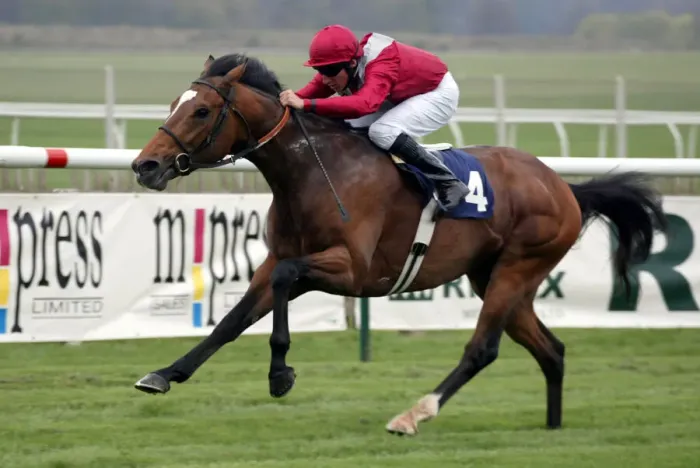 Framed Print : Ecomium Ridden By E.Ahern Newmarket Craven Meeting Newmarket Racecourse Framed Print : Ecomium Ridden By E.Ahern Newmarket Craven Meeting Newmarket Racecourse