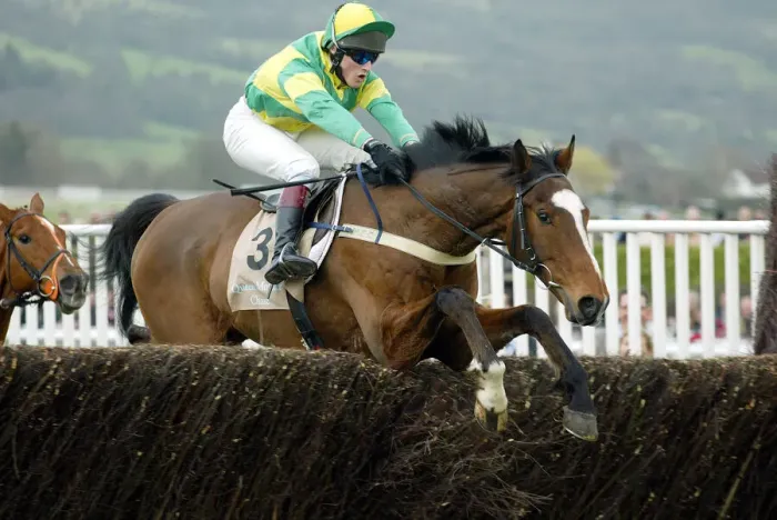 Framed Print : Ei Ei Ridden By L.Vickers Cheltenham Festival 2004 Cheltenham Racecourse