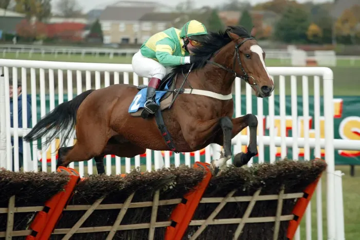 Framed Print : Ei Ei Ridden By L.Vickers Wetherby Steeplechase Wetherby Racecourse