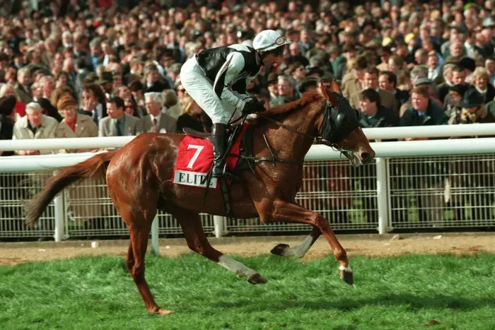 Framed Print : Enipeus Ridden By R.Greene 29 March 1999 Date: 29 March 1999