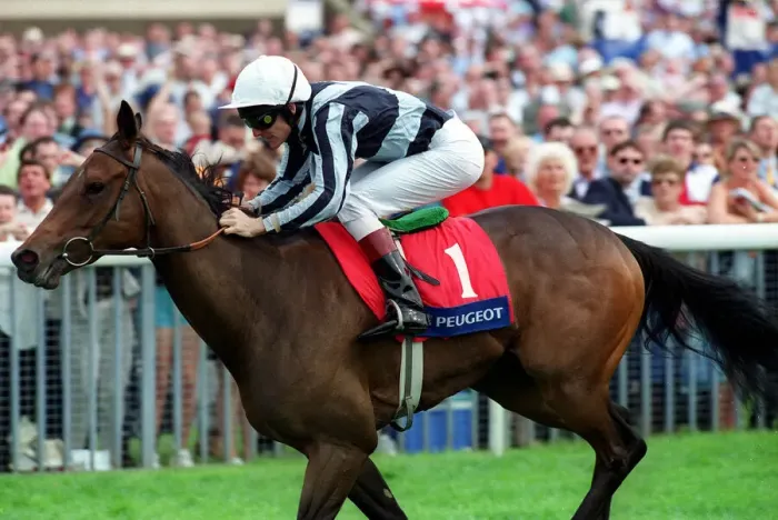 Framed Print : Enthused Ridden By John Murtagh York Racecourse 22 August 2000 Date: 22 August 2000 Framed Print : Enthused Ridden By John Murtagh York Racecourse 22 August 2000 Date: 22 August 2000