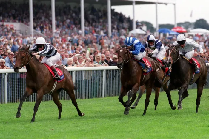 Framed Print : Enthused Ridden By J. Murtagh Framed Print : Enthused Ridden By J. Murtagh
