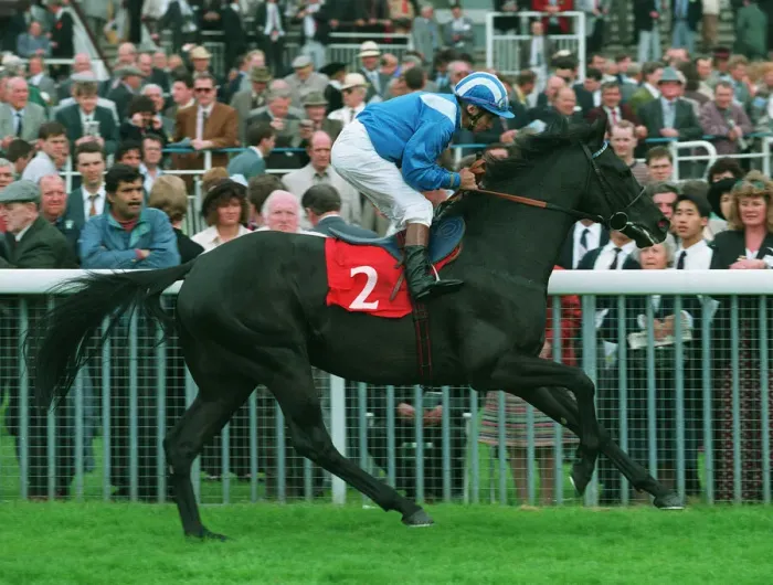 Framed Print : Erhaab Ridden By Willie Carson 09 June 1994 Date: 09 June 1994 Framed Print : Erhaab Ridden By Willie Carson 09 June 1994 Date: 09 June 1994