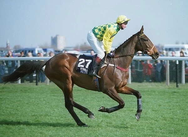 Esha Ness Racehorse 29 April 1995 Date: 29 April 1995