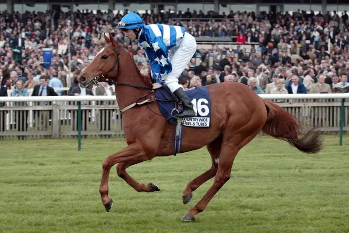 Framed Print : Everest Ridden By J.P.Spencer Newmarket Guineas Festival 04 Newmarket Racecourse Framed Print : Everest Ridden By J.P.Spencer Newmarket Guineas Festival 04 Newmarket Racecourse
