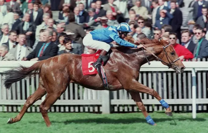 Framed Print : Fahris Wins Feilden Stakes 97 Framed Print : Fahris Wins Feilden Stakes 97