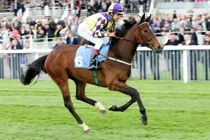 Framed Print : Fazbee Ridden By Darryll Holland York May Festival 2008 York Racecourse Framed Print : Fazbee Ridden By Darryll Holland York May Festival 2008 York Racecourse