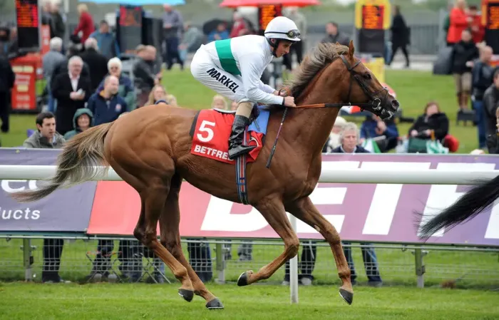 Framed Print : Fencing Ridden By William Buick Dante Festival Framed Print : Fencing Ridden By William Buick Dante Festival