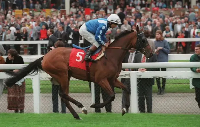 Framed Print : Fernanda Ridden By W.Carson 17 September 1996 Date: 17 September 1996