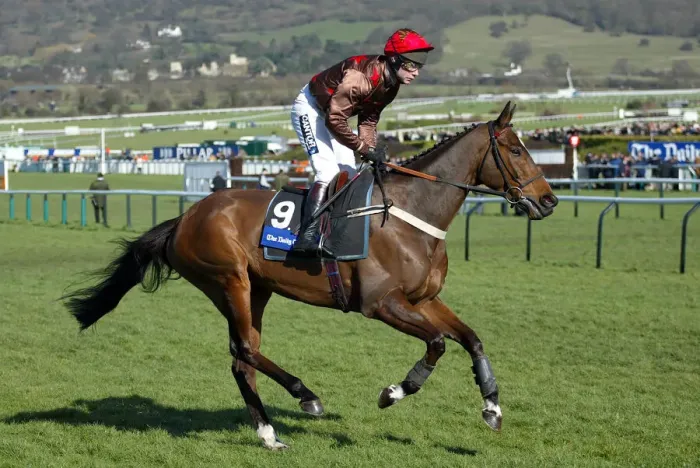 Framed Print : Fondmort Ridden By M.A.Fitzgerald Cheltenham Festival 2005 Cheltenham Racecourse Framed Print : Fondmort Ridden By M.A.Fitzgerald Cheltenham Festival 2005 Cheltenham Racecourse
