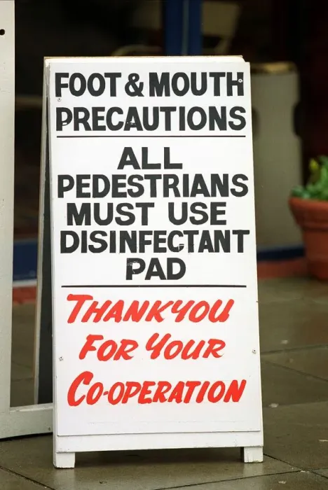 Framed Print : Foot & Mouth Precautions Framed Print : Foot & Mouth Precautions