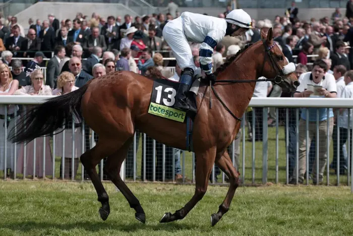 Framed Print : Frascati Ridden By P.Mathers York May Festival 2005 York Racecourse