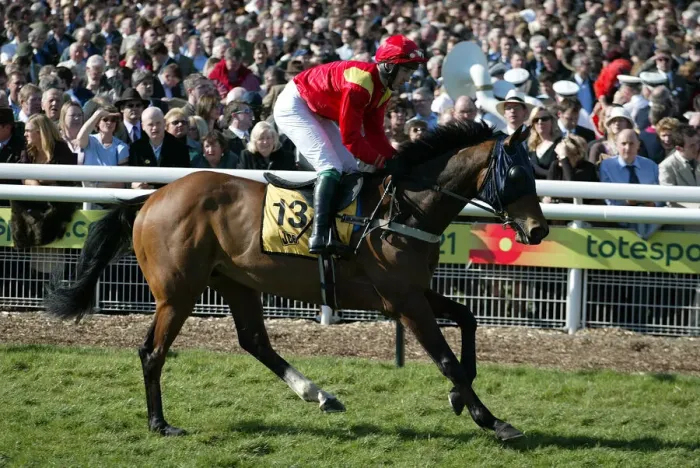 Framed Print : Fsel Ridden By A.Dobbin Cheltenham Festival 2005 Cheltenham Racecourse Framed Print : Fsel Ridden By A.Dobbin Cheltenham Festival 2005 Cheltenham Racecourse