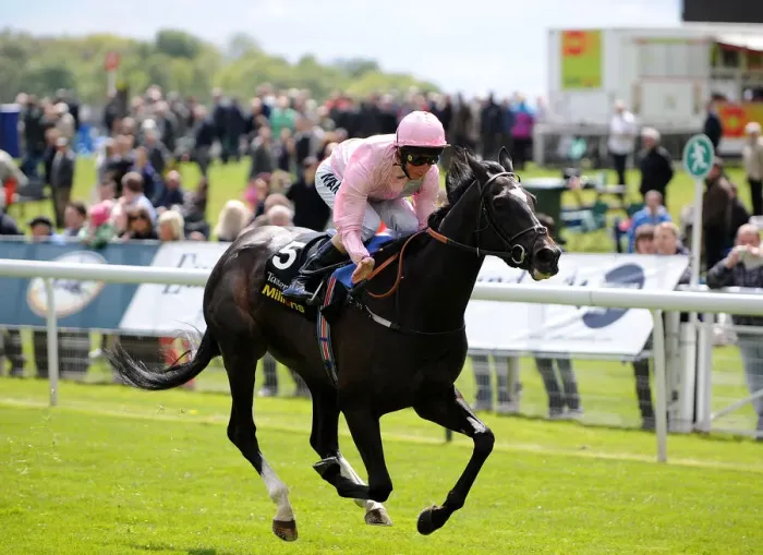 Framed Print : The Fugue Ridden By William Buick Wins Framed Print : The Fugue Ridden By William Buick Wins