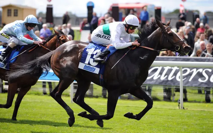 Framed Print : Gatewood Ridden By William Buick Dante Festival Framed Print : Gatewood Ridden By William Buick Dante Festival