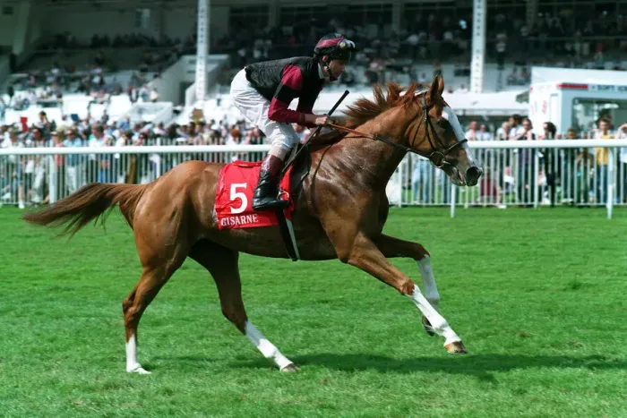 Framed Print : Gisarne Ridden By Cash Asmussen 29 June 1993 Date: 29 June 1993 Framed Print : Gisarne Ridden By Cash Asmussen 29 June 1993 Date: 29 June 1993