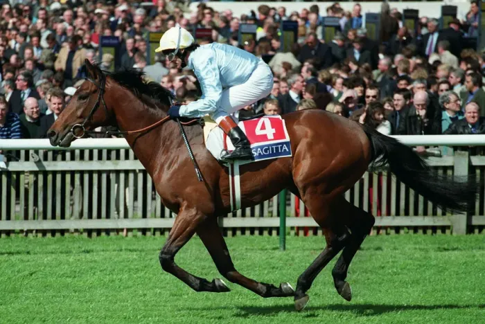 Framed Print : Golan Ridden By K.Fallon Newmarket Guineas Festival Newmarket Framed Print : Golan Ridden By K.Fallon Newmarket Guineas Festival Newmarket