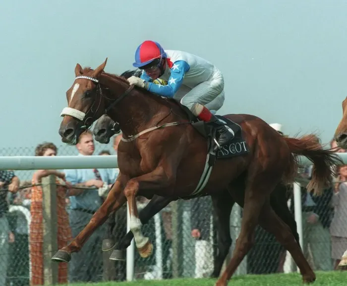Framed Print : Gordi Wins Queens Vase 19. 6. 96 Framed Print : Gordi Wins Queens Vase 19. 6. 96