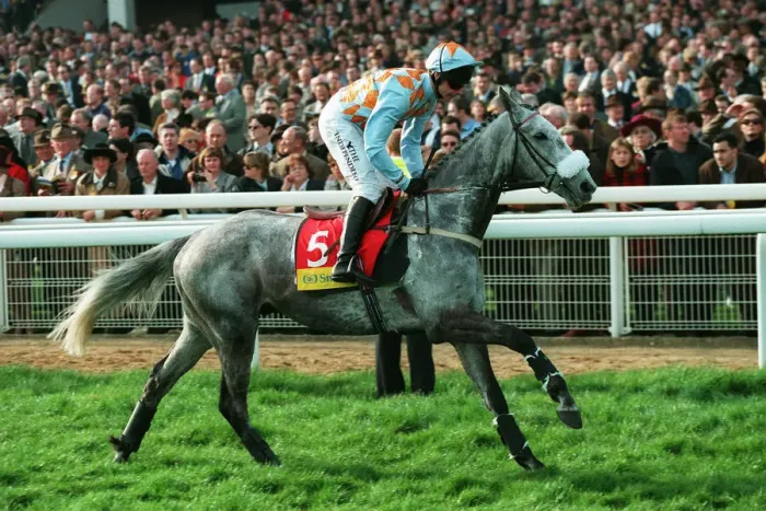 Framed Print : Grey Shot Ridden By J.Osborne 23 March 1999 Date: 23 March 1999 Framed Print : Grey Shot Ridden By J.Osborne 23 March 1999 Date: 23 March 1999