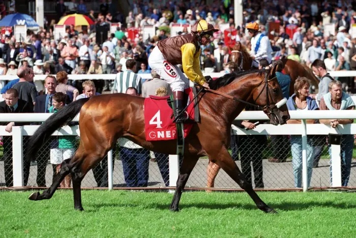 Framed Print : Gulland Ridden By Michael Roberts 09 September 1999 Date: 09 September 1999 Framed Print : Gulland Ridden By Michael Roberts 09 September 1999 Date: 09 September 1999