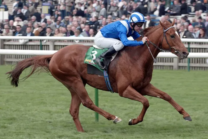 Framed Print : Haafhd Wins Craven Stakes 2004 Framed Print : Haafhd Wins Craven Stakes 2004