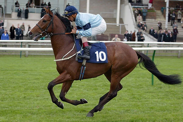 Hadrian Ridden By R.Ffrench Newmarket Craven Meeting 2005 Newmarket
