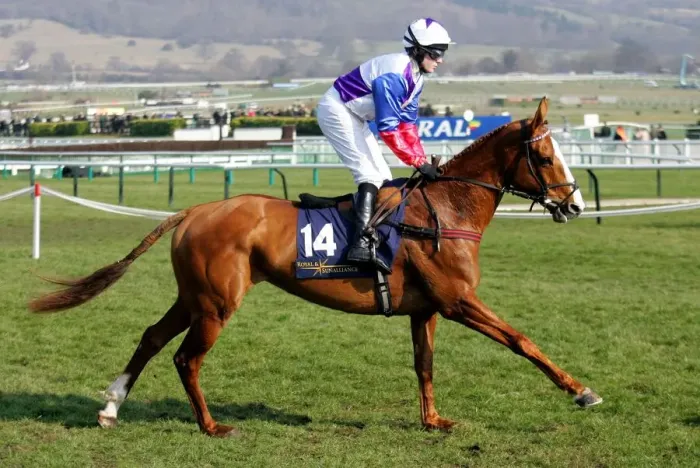 Framed Print : Heltornic Ridden By T.Scudamore Cheltenham Festival 2006 Cheltenham Racecourse Framed Print : Heltornic Ridden By T.Scudamore Cheltenham Festival 2006 Cheltenham Racecourse