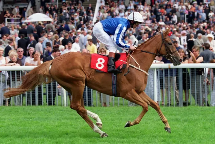Framed Print : Hiddnah Ridden By John Reid York Racecourse 22 August 2000 Date: 22 August 2000 Framed Print : Hiddnah Ridden By John Reid York Racecourse 22 August 2000 Date: 22 August 2000