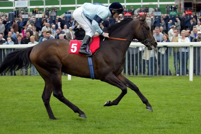 Framed Print : Highest Ridden By J.Murtagh York Races York Racecourse, York 20 August 2002 Date Framed Print : Highest Ridden By J.Murtagh York Races York Racecourse, York 20 August 2002 Date