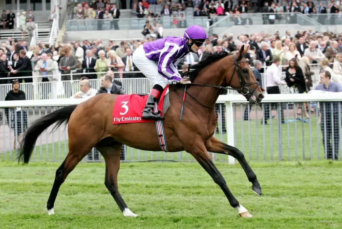 Framed Print : Honolulu Ridden By J Murtagh York May Festival 2008 York Racecourse Framed Print : Honolulu Ridden By J Murtagh York May Festival 2008 York Racecourse