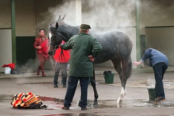 Horse Gets Wash Down