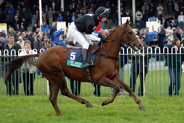 Ilton Ridden By A.Ross Wetherby Races Wetherby Racecoarse