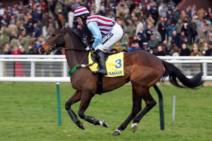 Framed Print : Impek Ridden By A.P.Mccoy Cheltenham Festival 2006 Cheltenham Racecourse Framed Print : Impek Ridden By A.P.Mccoy Cheltenham Festival 2006 Cheltenham Racecourse