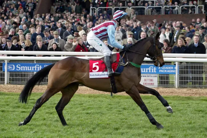 Framed Print : Impek Ridden By J.Culloty Cheltenham Festival 2003 Cheltenham Racecourse Framed Print : Impek Ridden By J.Culloty Cheltenham Festival 2003 Cheltenham Racecourse