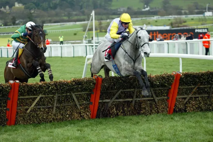 Framed Print : Iriss Gift Wins Stayers Hurdle Framed Print : Iriss Gift Wins Stayers Hurdle