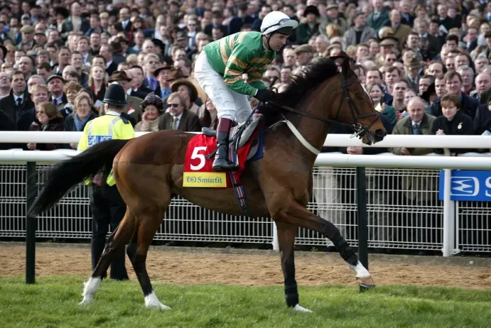 Framed Print : Istabraq Ridden By Charlie Swan Cheltenham Festival Cheltenham Racecourse Framed Print : Istabraq Ridden By Charlie Swan Cheltenham Festival Cheltenham Racecourse