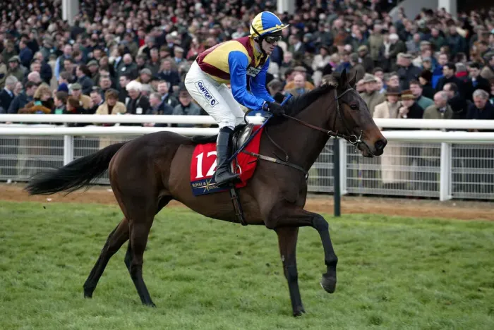 Framed Print : Iznogoud Ridden By A.P.Mccoy Cheltenham Festival 2002 Cheltenham Racecourse Framed Print : Iznogoud Ridden By A.P.Mccoy Cheltenham Festival 2002 Cheltenham Racecourse